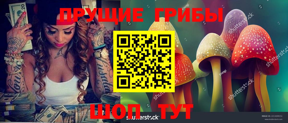 Изобильный  Галлюциногенные грибы Psilocybe  Вход с VPN 